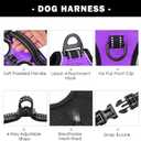 PHOEPET No Pull Dog Harness Medium Reflective Front Clip Vest with Handle,Adjustable 2 Metal Rings 3 Buckles,[Easy to Put on & Take Off](M, Purple)