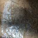 Solar Chicken Coop Light with Timer, 2 Pcs Adjustable Heavy Chicken Poop Scooper and 11 Tooth Coop Rake Set, 10 Pcs 11.8 x 11.8 Inch Natural Laying Hen Nesting Pads for Most Nesting Boxes