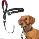 HALTI Optifit Headcollar - To Stop Your Dog Pulling on the Leash. Adjustable, Reflective and Lightweight, with Padded Nose Band. Dog Training Anti-Pull Collar for Small Dogs (Size Small)