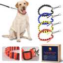 Prong Collar for Dogs - Adjustable Pinch Collar with PVC Coated Strap & Stainless Steel Chain - Safe Dog Training Prong Collar for Large Dogs - Choke Collar with Soft Rubber Tips (Orange)