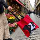 Original Print Foldable Eco-Friendly Canvas Tote Bag13.78  14.96 Hand & Shoulder Straps Travel,Shopping,Gifting