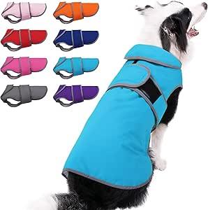 MIGOHI Warm Dog Coat Winter Dog Jacket,Waterproof Cold Weather Coats for Dogs,Fleece Jacket for Small Medium Large Dogs,Reflective Thick Fleece Vest with Leash Hole (Blue)