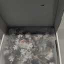 1000 Piece Wooden Puzzle for Adults  Bearded Dragon Lizard on Tree Branch Jigsaw Puzzle for Relaxing Home Decor and Gift