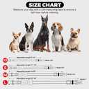 Azuza Anchor Dog Collar with Bow Tie, Soft and Comfortable Adjustable Bowtie for Medium Dogs