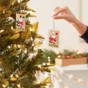 Hallmark Keepsake Christmas Ornaments, Corn Ho-Ho-Hole, Set of 2, Outdoor Games Gifts