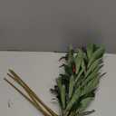 Norme 4 Pcs 27 Inch Artificial Olive Branches with Lifelike Olives for Vase Fake Greenery Olive Large Long Stems for Wedding Bouquet Table Centerpieces Home Decor DIY Floral Crafts