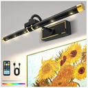 Laliled Picture Light, Rechargeable Battery Operated Painting Light with Remote, Dimmable Art Light for Paintings, Wireless Picture Light for Wall with Timer (Black)