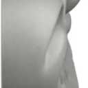 Ekena Millwork 17 3/4"W x 7 3/8"H x 1 1/8"P Paris Scroll Onlay, Right