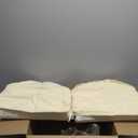 U'Artlines Outdoor Chair Cushions Set of 2, Waterproof Round Corner Seat Cushions, Patio Chair Cushions for Outdoor Furniture,Seat Cushions with Ties for Patio Garden Dining 17"x16"x2", Cream