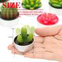 Shihanee 48 Pcs Succulent Cactus Tealights 24 Styles Handmade Mini Plant Tealight Candles Bulk Unscented Smokeless for Wedding Spa Graduation Baby Shower Housewarming Gifts Mexican Party Favors