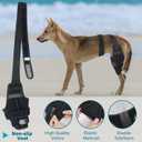 Dog Knee Brace, Torn ACL Hind Leg Support, Rear Stability for CCL Injury Recovery & Hip Dysplasia, Adjustable Joint Wrap for Small Medium Large Pets(Right, L)