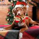 3 Pack Christmas Squeaky Dog Toys, Plush No Stuffing Toy for Dog Puppy, Durable Chew Bite Toys for Small Medium Large Dogs, Interactive Xmas Reindeer, Penguin, Bear for Aggressive Chewers