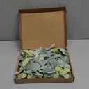 Giegxin 24 Pcs Artificial Lambs Ear Stems Garland Faux Greenery Stems Bulk Flocked Faux Greenery Decor Fake Lambs Ear Picks Plants for Home Wedding DIY Wreath Flower Arrangement