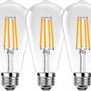 ST19 Vintage LED Edison Light Bulbs,E26 Led Bulb 25W Equivalent,Vintage LED Filament Bulbs,2.5W Warm White 2200K,250LM,Clear Glass,Non-Dimmable,3 Pack