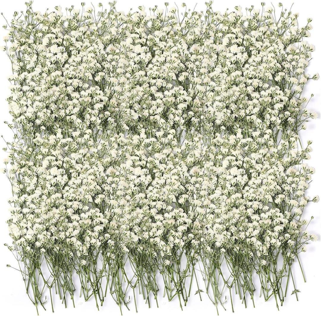Tinideya 100 Pcs Dried Babys Breath Flowers Bulk Babys Breath Real Pressed Flowers Natural Gypsophila for Resin Wedding Art Craft Baby Shower DIY Invitations Scrap Booking Card Making(Ivory White)