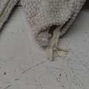 MIULEE Pack of 4 Couch Throw Pillow Covers 18x18 Inch Cream Soft Decorative Chenille Pillow Covers Farmhouse Accent Cushion Covers for Boho Home Decor Sofa Bedroom Living Room