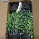 Der Rose Fake Plants 4 Packs Artificial Plants Small Faux Plants Black Bathroom Accessories for Halloween Bathroom Home Kitchen Coffee Table Office Desk Decor Indoor