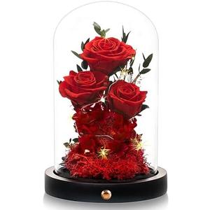 DENIMOMO Valentines Day Flowers Roses Gifts for Women Her,Forever Preserved Rose in Glass Dome, Valentines Anniversary Birthday Real Roses Gifts for Wife Women Girlfriend Best Friend/Red