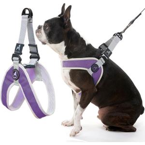 Gooby Simple Step in III Harness - Purple, Small - Small Dog Harness with Scratch Resistant Outer Vest - Soft Inner Mesh Harness for Small, Medium Dogs (Small chest (14.2517"))