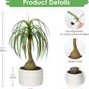 Hollyone Fake Plants Artificial Potted Plants Artificial Ponytail Palm Plant in Pots Faux Bonsai Plants for Office Table Desk Shelf Bathroom Bedroom Greenery Decoration Room Indoor Home Decor