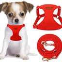 CHEDE No Pull Puppy Harness and Multifunction Dog Leash Set - Soft Adjustable No Choke Escape Proof Cute, Lightweight Pet Vest Harness for Small Dog (XS, Red)