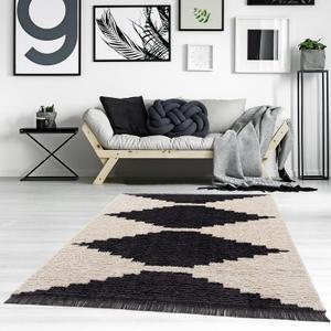 Madison Park Woven Turkish Area Rugs for Living Room, Indoor Dining Accent Modern Home Dcor, Ultra Soft Floor Carpets for Bedroom, 5x7 ft, Amanda Black/Ivory