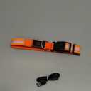 Vizpet LED Dog Collar, Light Up Dog Collar Adjustable USB Rechargeable Super Bright Safety Light Glowing Collars for Dogs (Medium, Orange) 