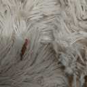 Area Rugs for Living Room, Soft Shaggy Carpets for Living Room, Fuzzy Rugs for Kids' Room, Perfect Decor for Modern Home Camel 5x7 Feet