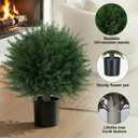 DREAMLOOM Topiary Cedar Trees Artificial Outdoor Ball in Planter, 1-Pack
