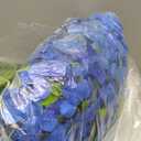 ZEBMOON 24 Pack Royal Blue Wisteria Hanging Flowers, 3.4 Ft Fake Hanging Flowers, Artificial Wisteria Garland Vines for Wedding Room Backdrop Outdoor Patio Garden Decoration