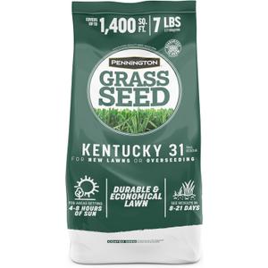 Pennington Kentucky 31 Tall Fescue Penkoted Grass Seed 7 lb