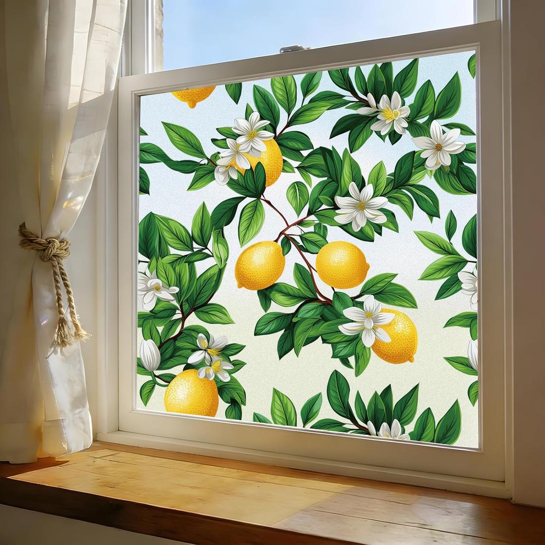 Window Film, Frosted Privacy, One Way Tint, UV Block, Heat Insulation, Anti-Glare, Static Cling, Renter Friendly for Home Bathroom Door