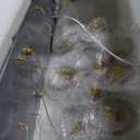 Rectangular Chandeliers 26-Lights Long Light for Entryway LED Dimmable Chandeliers Lighting Fixture Flat Sloped High Ceiling Pendant Lights Crystal for Living Room Foyer Hallway Staircase Gold