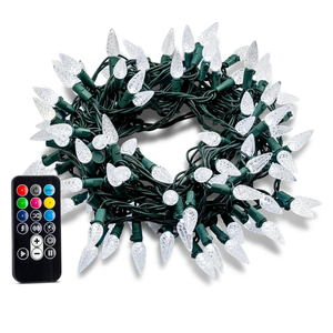 SYLVANIA 100 Light string LED RGB Color Change Faceted C6 Style Mini Light Set