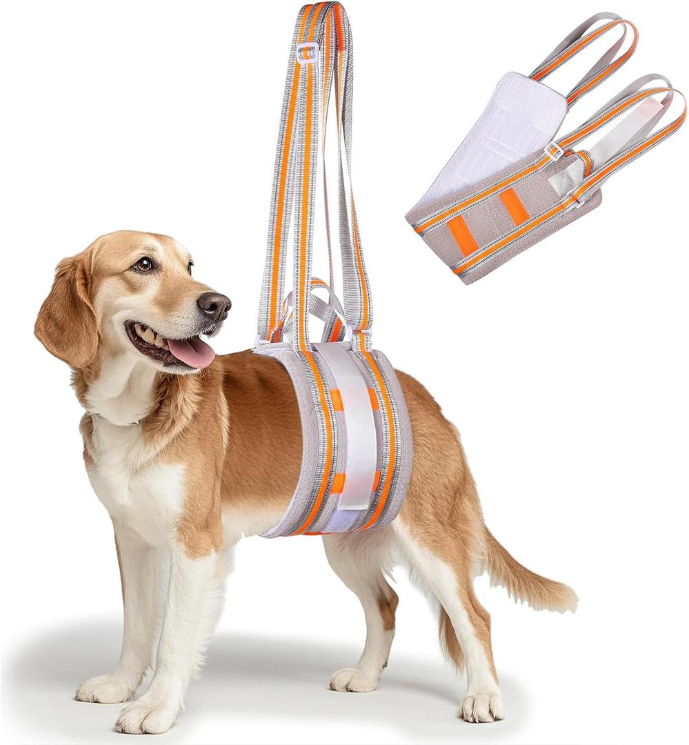 Portable Dog Lift Harness,Dog Sling for Medium Dogs Hind Leg Support,Reinforcement Against bunching,Suitable for 25-70 lbs Dogs with Weak Rear Legs, Helps Senior, Injured, Disabled,After ACL Surgery