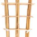Avalution 10 Pack Bamboo Trellis for Climbing Plants, 4 FT Garden Ladder Trellis for Potted Plants Indoor, Fan-Shaped Small Plant Support Trellis for Houseplants Ivy Hoya Vine Monstera