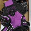 PHOEPET No Pull Dog Harness Medium Reflective Front Clip Vest with Handle,Adjustable 2 Metal Rings 3 Buckles,[Easy to Put on & Take Off](M, Purple)