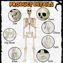 LINAYE 2 Pack 5.4ft Life Size Halloween Skeleton with Movable Joints