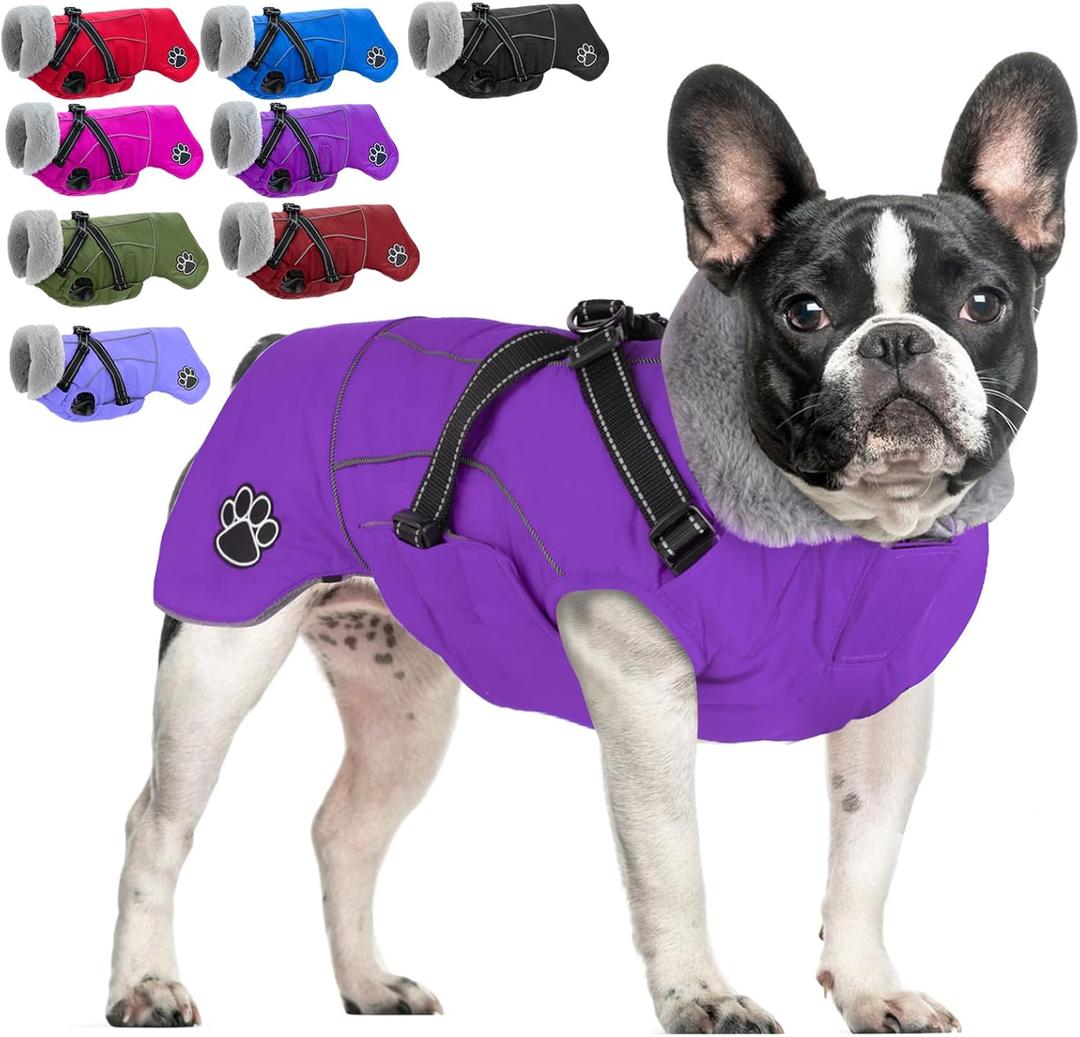 Doglay Dog Jacket Waterproof Dog Coat with Harness Built in, Christmas Puppy Winter Coat Reflective Turtleneck Puffer Snow Jackets for Small Dogs (Purple)