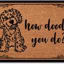 How Doodle You Do Low Profile Door Mat for Front Door Inside Door Mats for Home Entrance, Inside Front Doormat 30"X18"