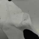 101 Dalmatian Costumes Kids, Girls Shirt Tutu Outfit Ears Headband Socks Accessories for 101st Day Of School (Large(10-12yr))