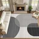 9x12 Large Area Rug for Living Room Boho Rug Bohemian Rugs Machine Washable Modern Geometric Rug Non Slip Printed Low Pile Indoor Floor Carpet for Dining Room Bedroom Office,Grey and Black