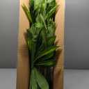 Artificial Dracaena Plant 6FT - Fake Tree with White Tall Planter - Faux Yucca Tall Fake Floor Plant in Pot - Artificial Trees for Home Office Living Room Decor Indoor