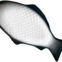 OSALADI Fish Shaped Plate Ceramic Fish Dish Porcelain Fish Plate Fish Serving Platter Porcelain Serving Platters Appetizer Serving Tray