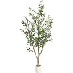 Faux Olive Tree 6ft Tall 1Pack with White Planter for Home Decor | Olive Trees Artificial Indoor Fake Olive Tree with Natural Olive Branches and Realistic Leaves for Home Decor Indoor