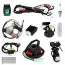 Complete Wiring Harness Kit Compatible with Tao tao Coolster 110cc 125cc Chinese ATV Quad 4 Wheeler 4 Stroke Parts with Starter Solenoid Relay Ignition Coil Stator Voltage Regulator CDI Box