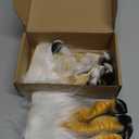 MOKRY PARTY White Eagle Claw Gloves Bird Foot Funny Animal Latex Hands Halloween Gloves Carnival Costume Props, 1Pair