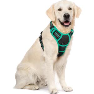 rabbitgoo Dog Harness No Pull with 2 Leash Clips, Adjustable Soft Padded, Reflective Oxford No Choke Pet Vest with Easy Control Handle for Large Dogs, Black & Turquoise, XL