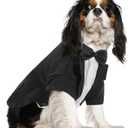 Queenmore Formal Dog Outfit for Wedding, Pet Tuxedo with Tie, Cat Costume (Black, M)