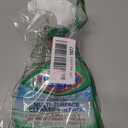 Clorox Clean-Up 32 Oz. All-Purpose Cleaner (2049)